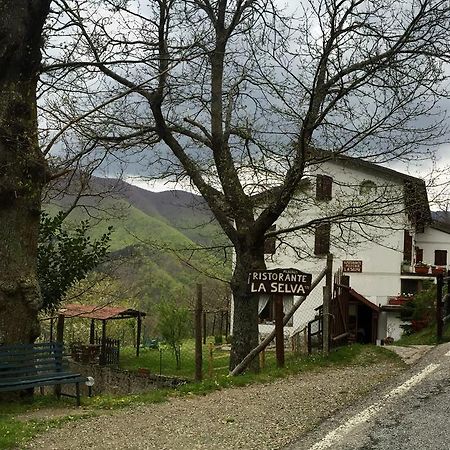 Albergo Ristorante La Selva Orsigna Екстер'єр фото